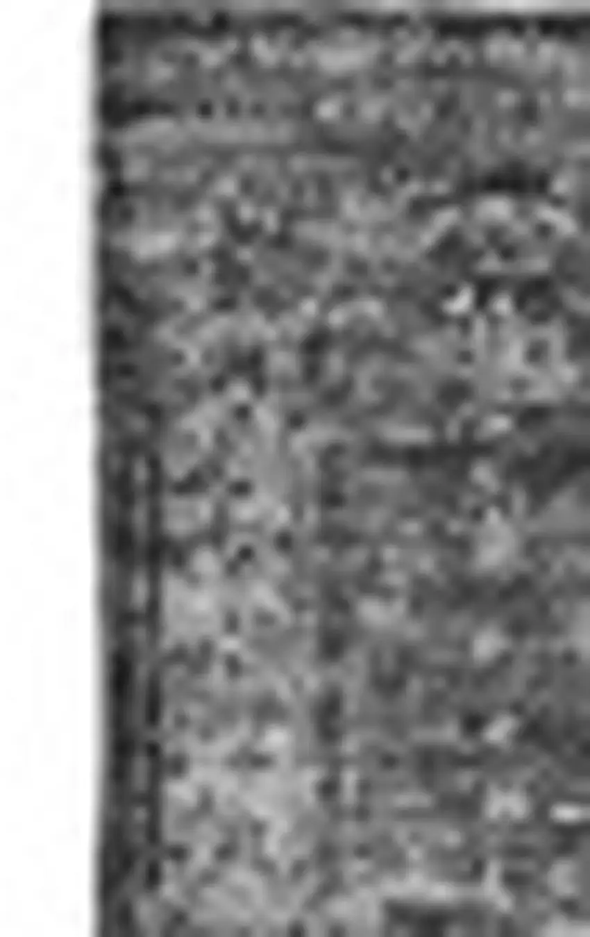 Charcoal And Silver Floral Washable Area Rug With UV Protection Photo 3