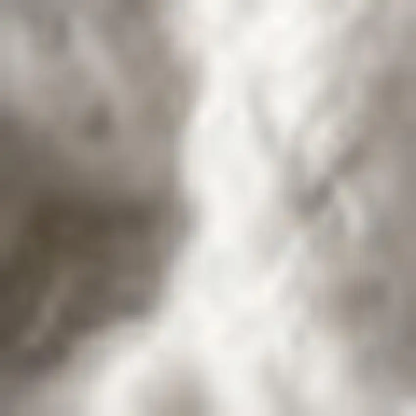 Charcoal Area Rug With Fringe Photo 3