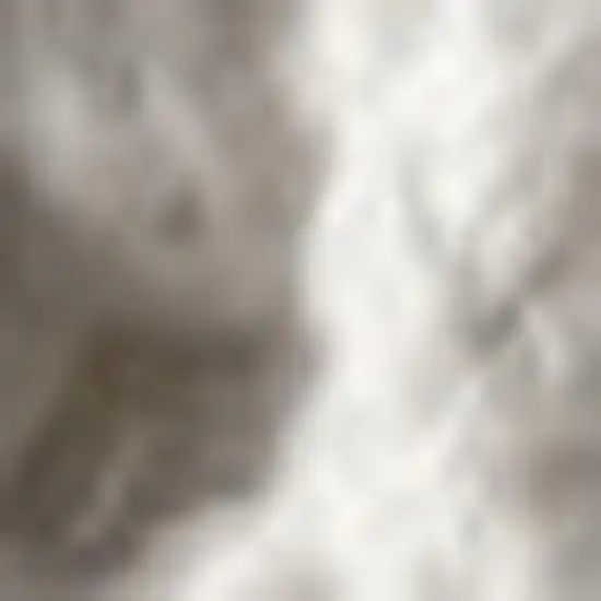 Charcoal Area Rug With Fringe Photo 3