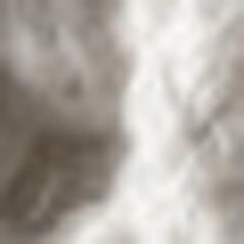 Charcoal Area Rug With Fringe Photo 3