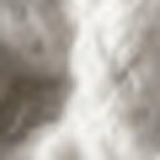 Charcoal Area Rug With Fringe Photo 3