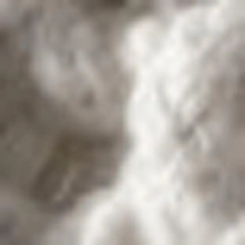 Charcoal Area Rug With Fringe Photo 3