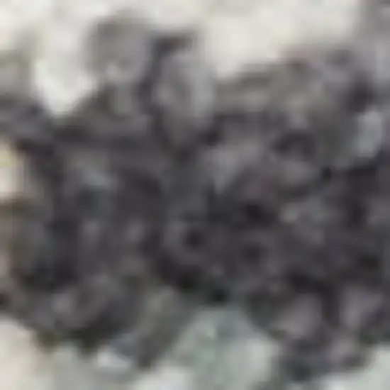 Charcoal Brown And Ivory Floral Distressed Area Rug With Fringe Photo 2