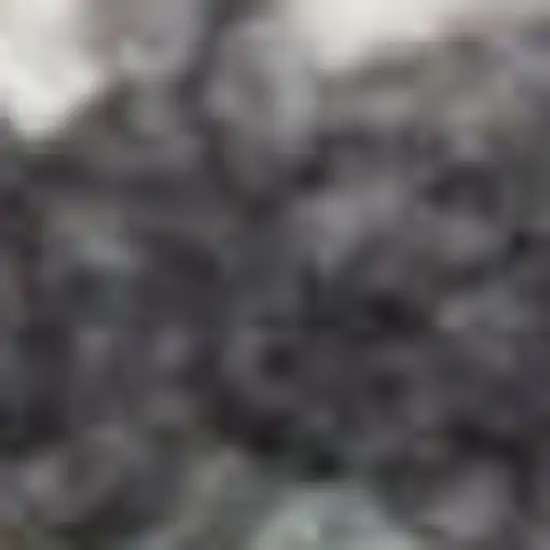 Charcoal Brown And Ivory Floral Distressed Area Rug With Fringe Photo 2