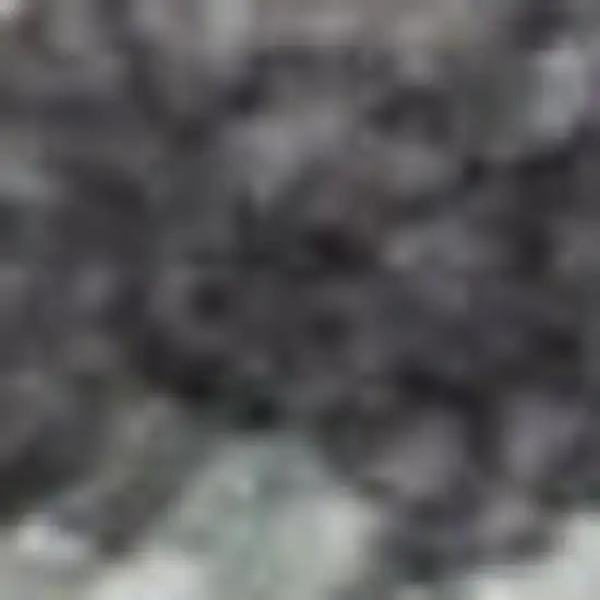 Charcoal Brown And Ivory Floral Distressed Area Rug With Fringe Photo 2