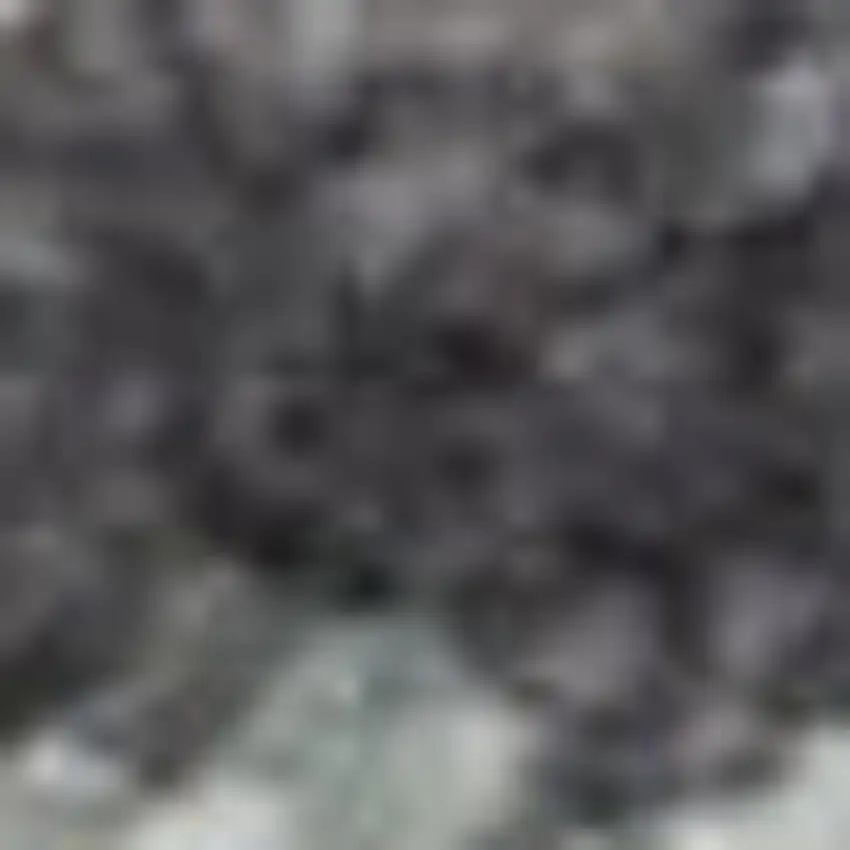 Charcoal Brown And Ivory Floral Distressed Area Rug With Fringe Photo 2