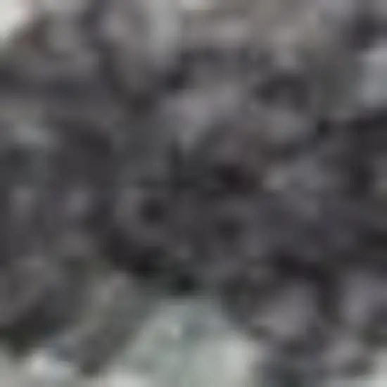 Charcoal Brown And Ivory Floral Distressed Area Rug With Fringe Photo 2