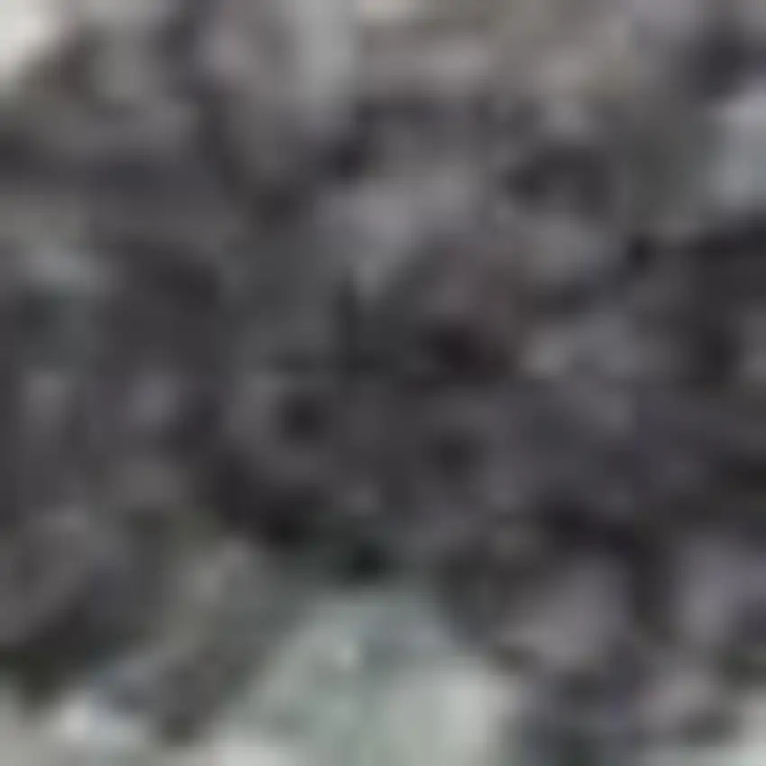 Charcoal Brown And Ivory Floral Distressed Area Rug With Fringe Photo 2