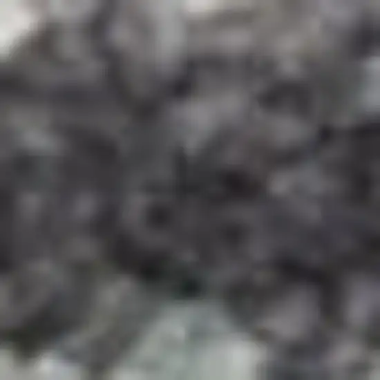 Charcoal Brown And Ivory Floral Distressed Area Rug With Fringe Photo 2