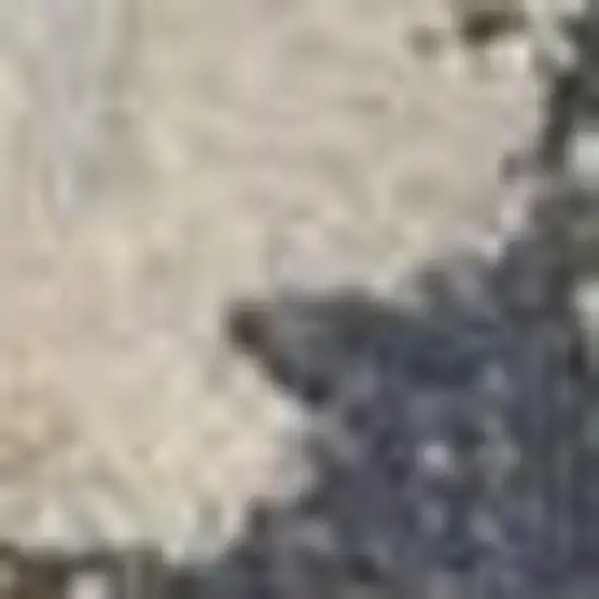 Charcoal Brown and Yellow Floral Distressed Area Rug Photo 3