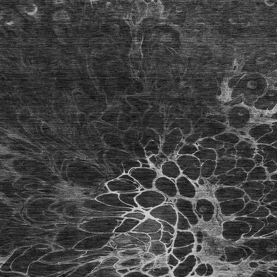 Charcoal Gray And Silver Abstract Washable Indoor Outdoor Area Rug Photo 5