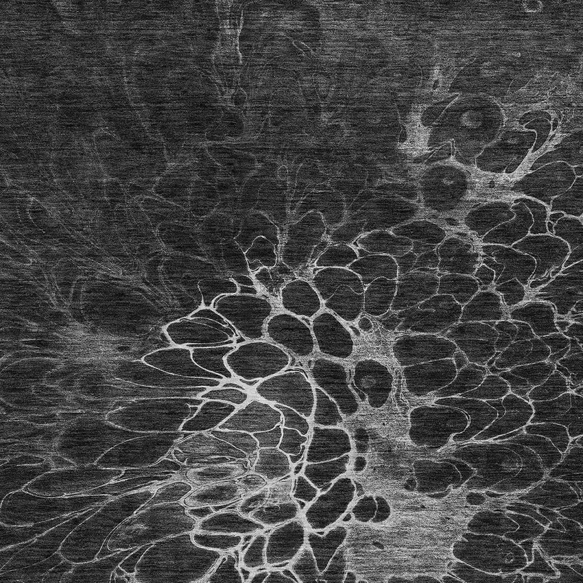 Charcoal Gray And Silver Abstract Washable Indoor Outdoor Area Rug Photo 5