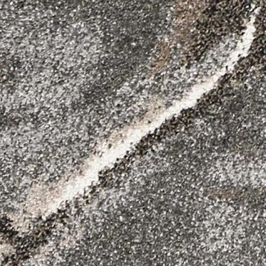 Charcoal And Light Gray Ogee Area Rug Photo 8