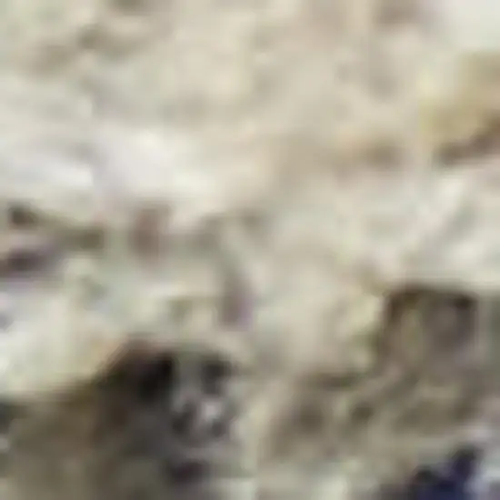 Gray And Ivory Abstract Area Rug Photo 1