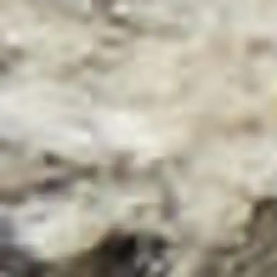 Gray And Ivory Abstract Area Rug Photo 1