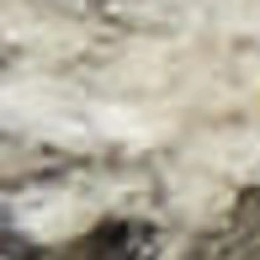 Gray And Ivory Abstract Area Rug Photo 1