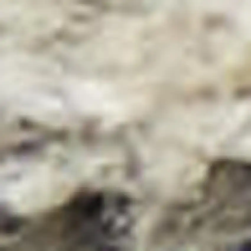 Gray And Ivory Abstract Area Rug Photo 2