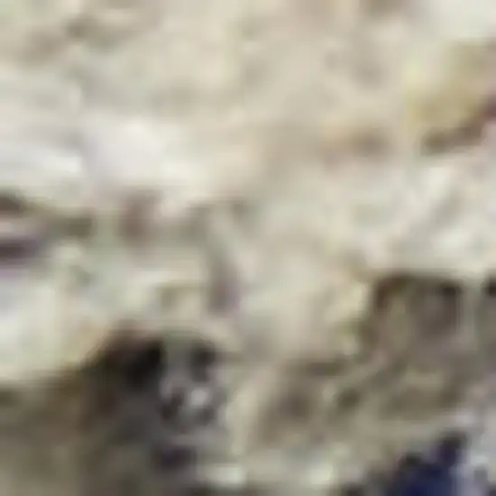 Gray And Ivory Abstract Area Rug Photo 1