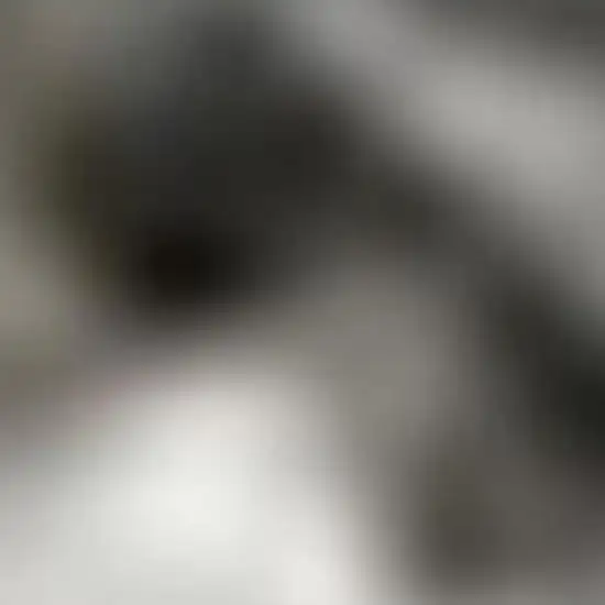 Charcoal and Ivory Abstract Shag Area Rug Photo 4