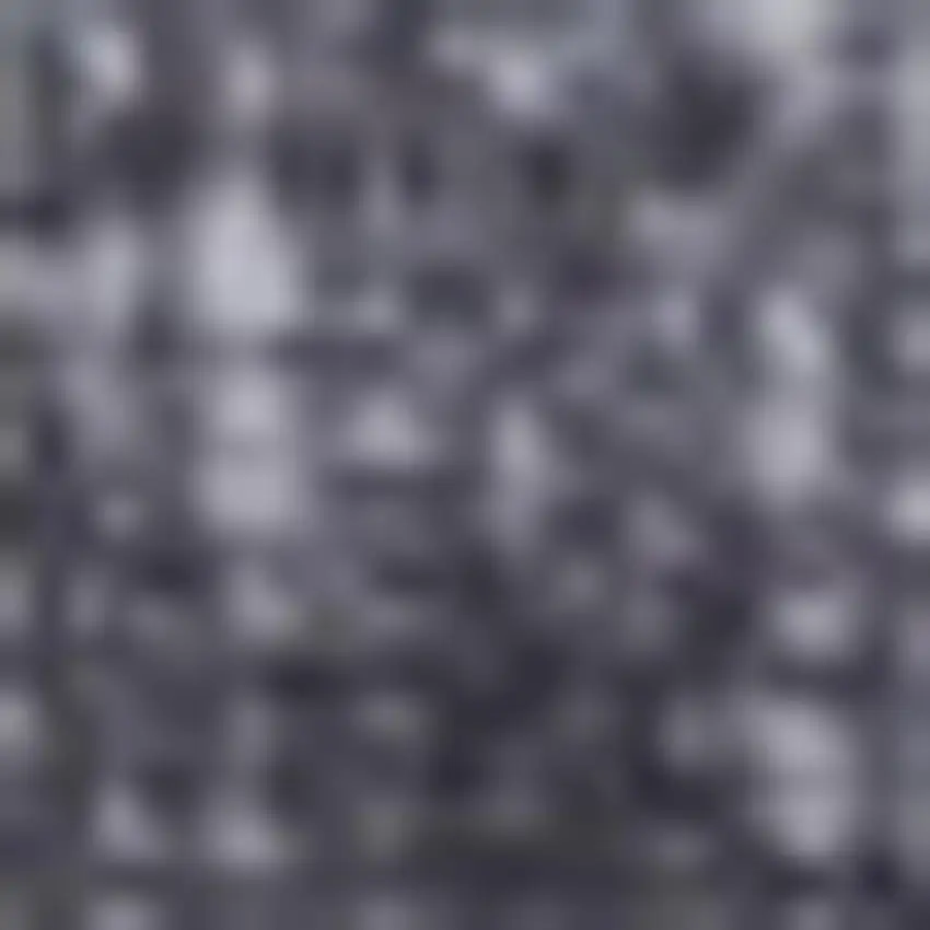 Charcoal and Ivory Oriental Distressed Non Skid Area Rug Photo 1