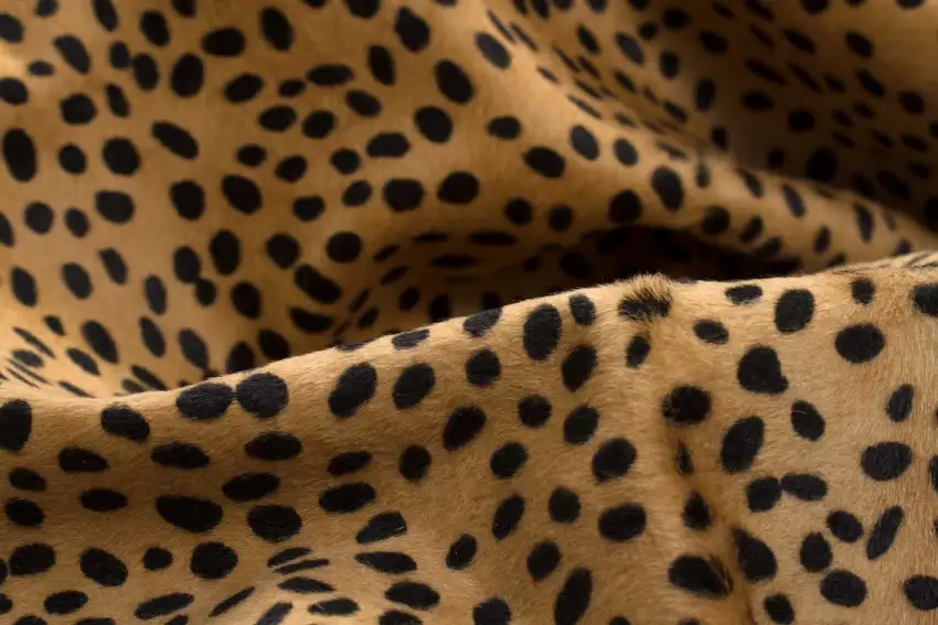 Cheetah Cowhide - Rug Photo 2