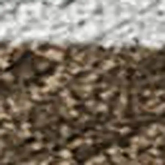Chocolate And Brown Abstract Washable Indoor Outdoor Area Rug Photo 2