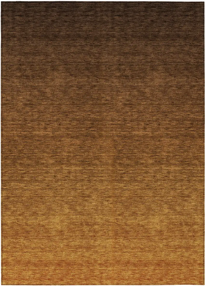 Chocolate And Brown Ombre Washable Indoor Outdoor Area Rug Photo 2