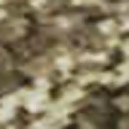 Chocolate And Copper Abstract Washable Area Rug With UV Protection Photo 2