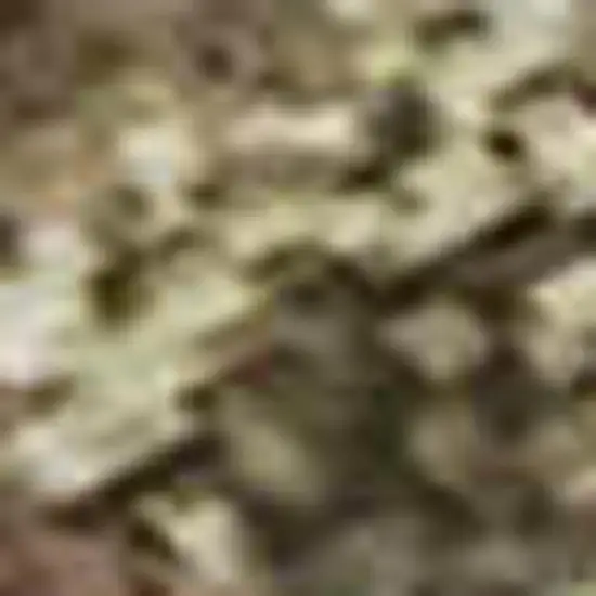 Chocolate And Copper Abstract Washable Area Rug With UV Protection Photo 2