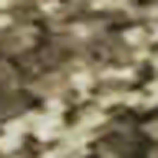 Chocolate And Copper Abstract Washable Area Rug With UV Protection Photo 2