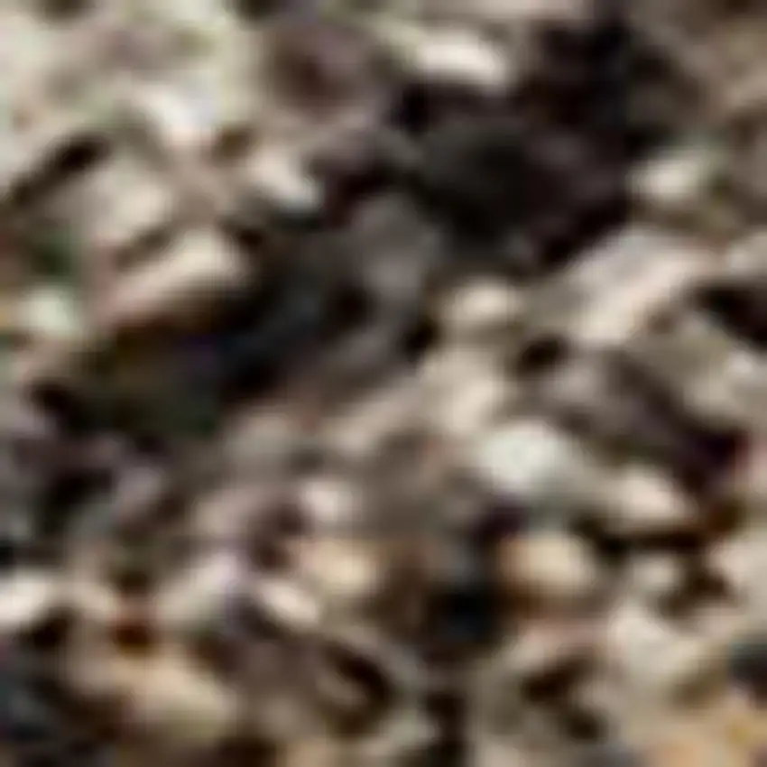 Chocolate And Ivory Abstract Washable Area Rug With UV Protection Photo 3