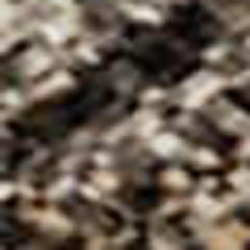 Chocolate And Ivory Abstract Washable Area Rug With UV Protection Photo 3