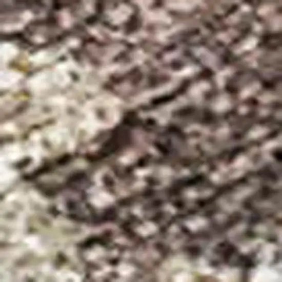 Chocolate Beige And Blue Floral Washable Indoor Outdoor Area Rug Photo 2