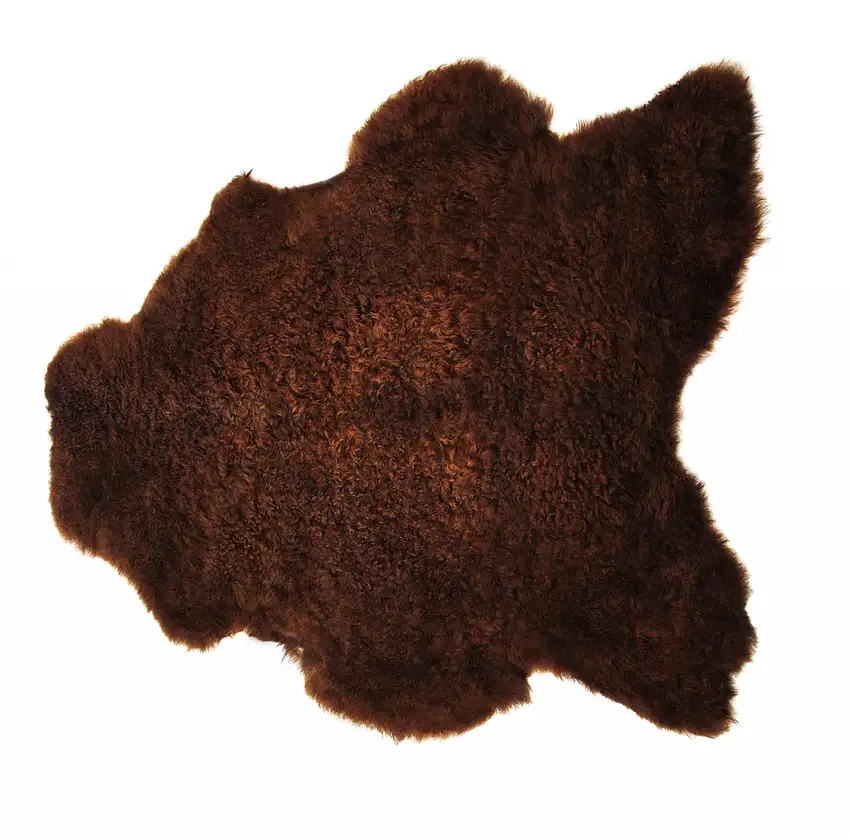 Chocolate Calfskin - Area Rug Photo 1