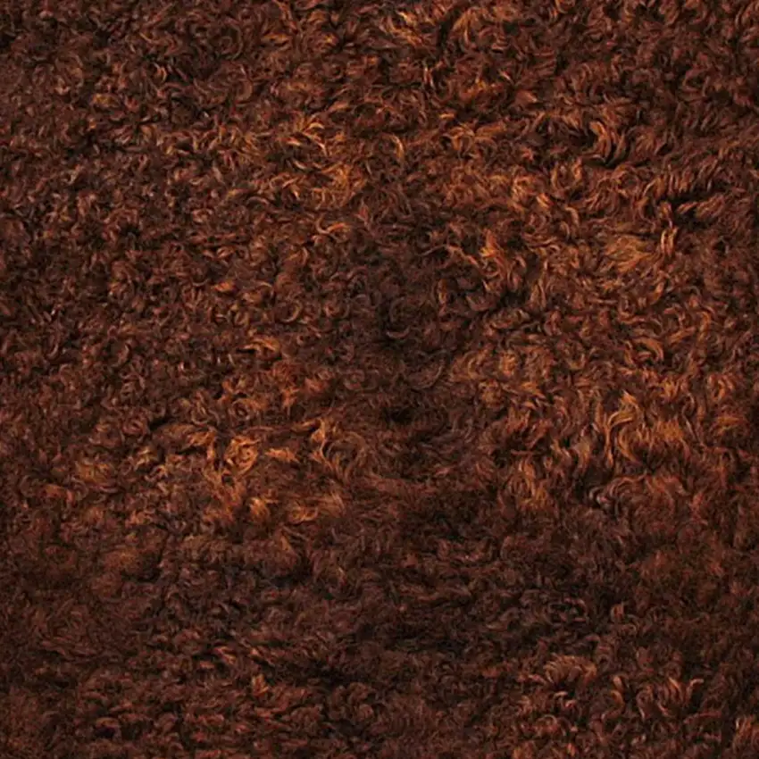 Chocolate Calfskin - Area Rug Photo 3