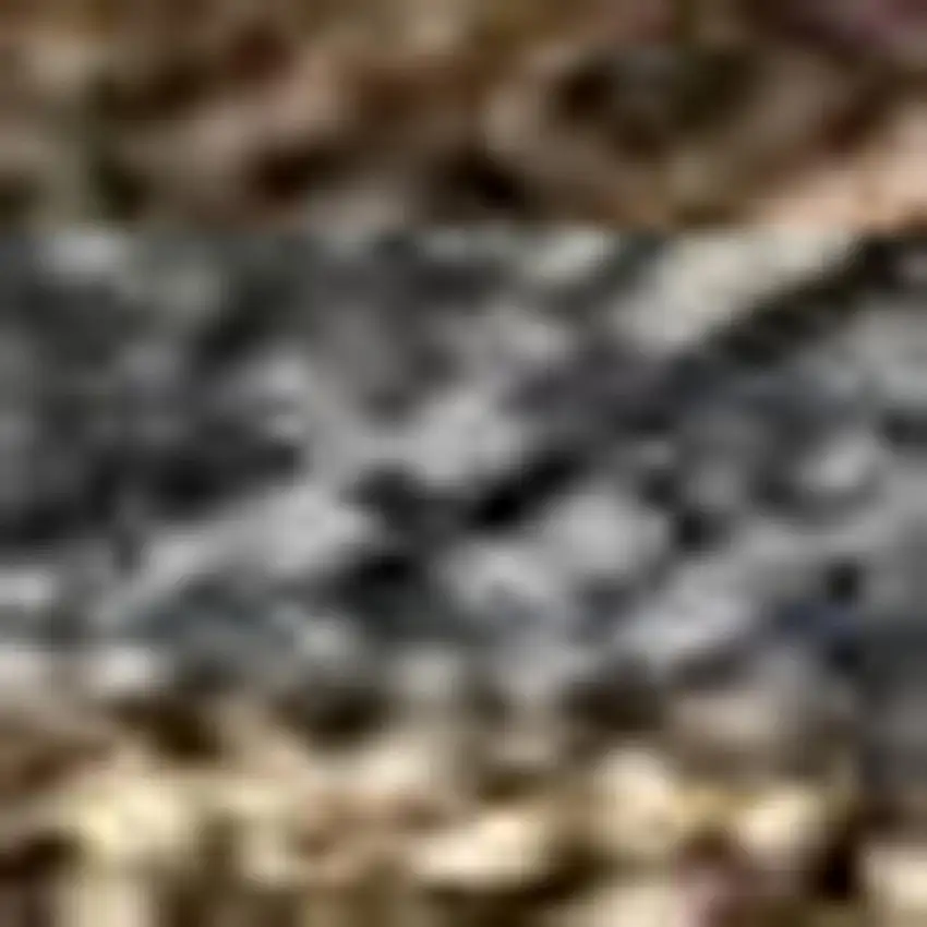 Chocolate Gray And Beige Seashell Washable Indoor Outdoor Area Rug Photo 2