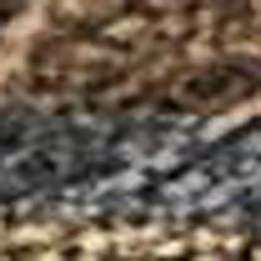 Chocolate Gray And Beige Seashell Washable Indoor Outdoor Area Rug Photo 2