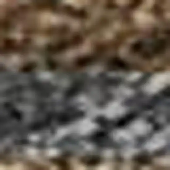 Chocolate Gray And Beige Seashell Washable Indoor Outdoor Area Rug Photo 2