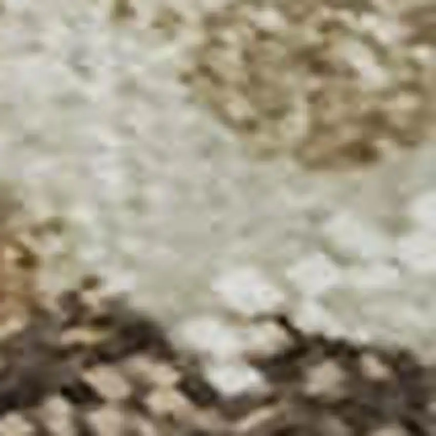 Chocolate Ivory And Beige Abstract Washable Area Rug With UV Protection Photo 4