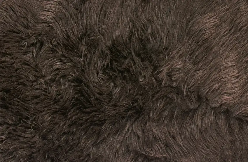 Chocolate Single Sheepskin Area Rug Photo 2