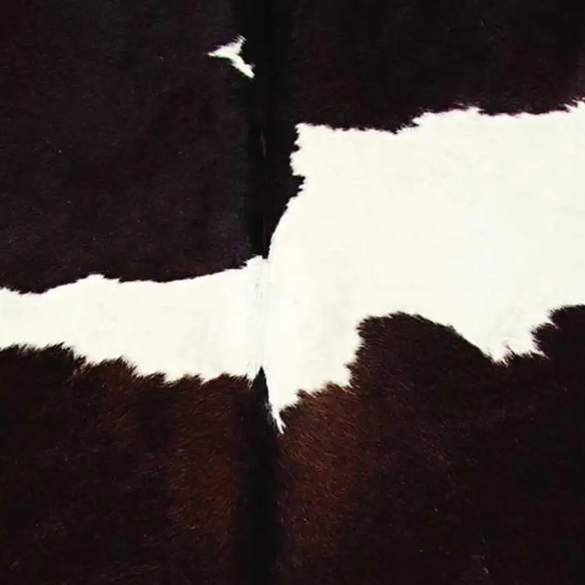 Chocolate and White Cowhide - Rug Photo 3