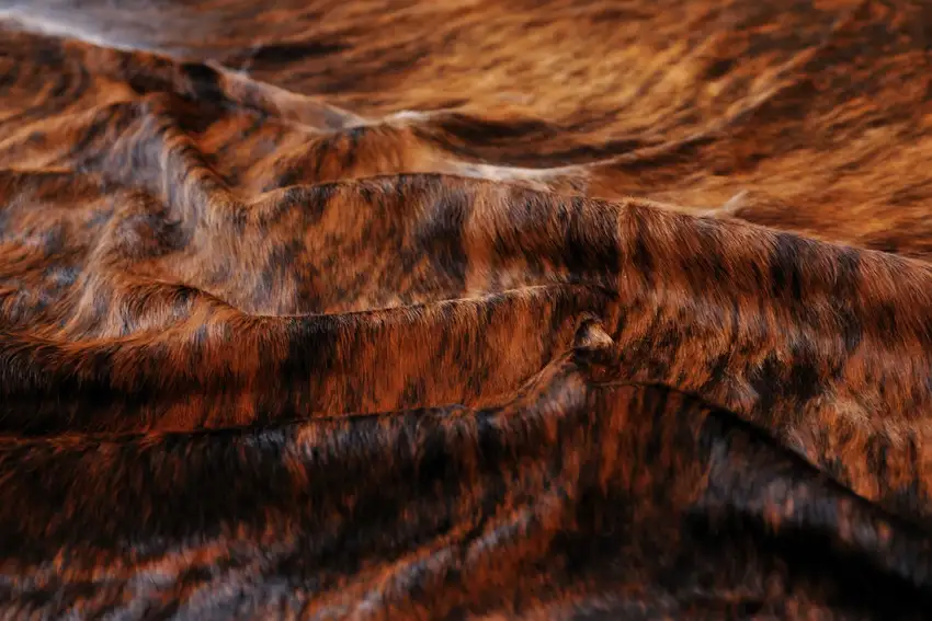 Classic and Brindle Cowhide - Rug Photo 2