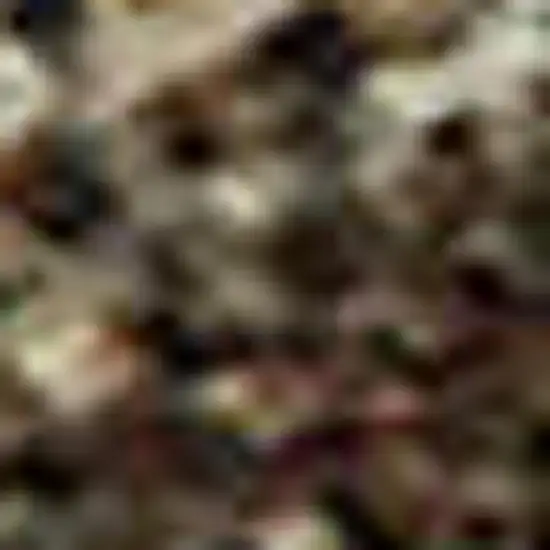 Coffee Burgundy And Beige Abstract Washable Area Rug With UV Protection Photo 2