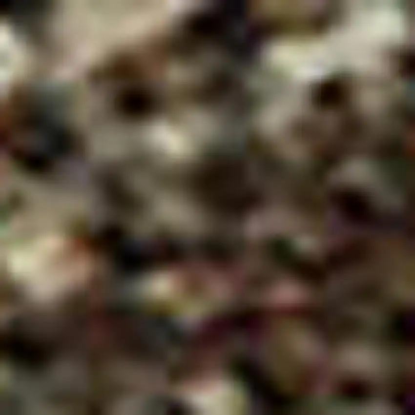 Coffee Burgundy And Beige Abstract Washable Area Rug With UV Protection Photo 2