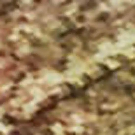 Copper And Beige Abstract Washable Area Rug With UV Protection Photo 2