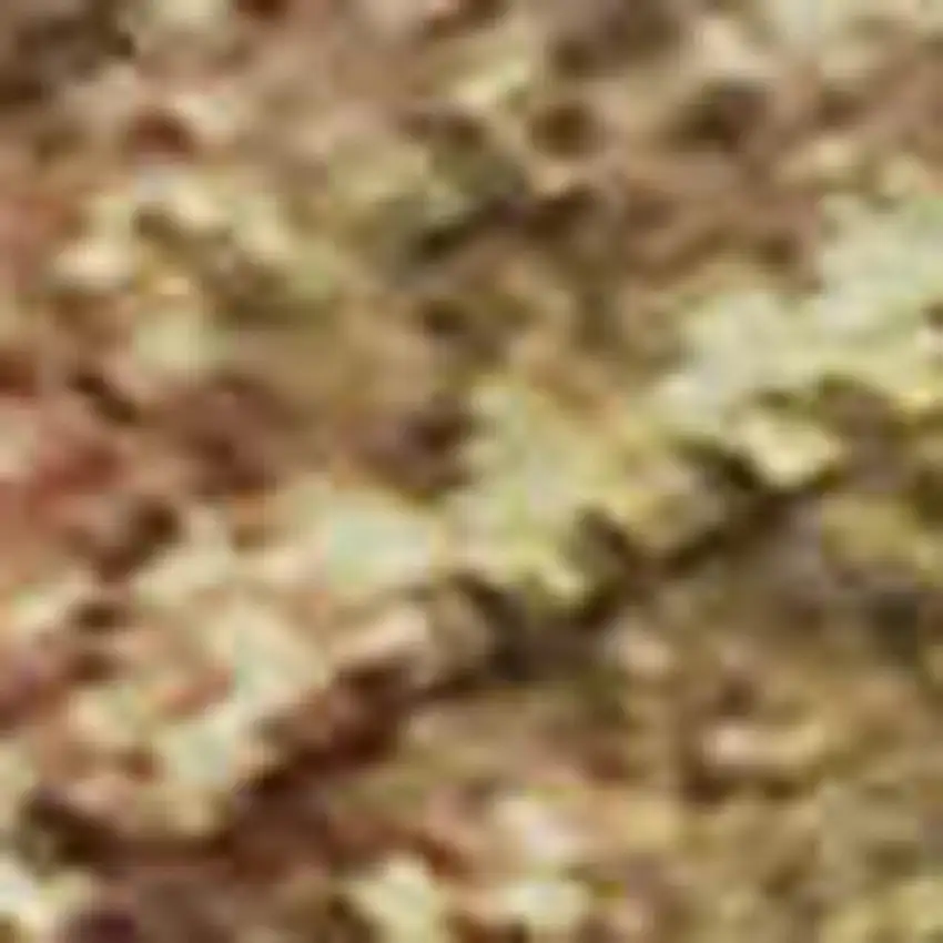 Copper And Beige Abstract Washable Area Rug With UV Protection Photo 2