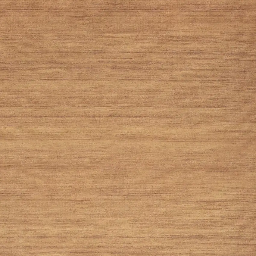 Copper Washable Area Rug Photo 5