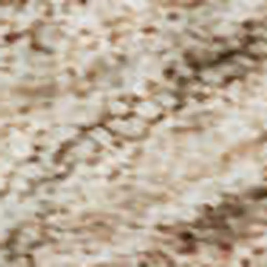 Coral And Salmon Medallion Washable Area Rug With UV Protection Photo 2