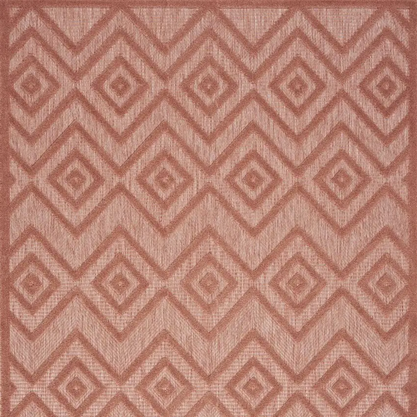 Coral Indoor Outdoor Area Rug Photo 9