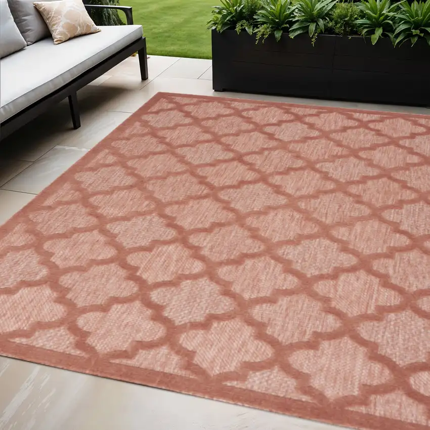 Coral Indoor Outdoor Area Rug Photo 2